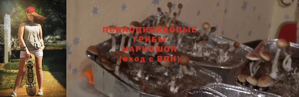 амф Богородицк