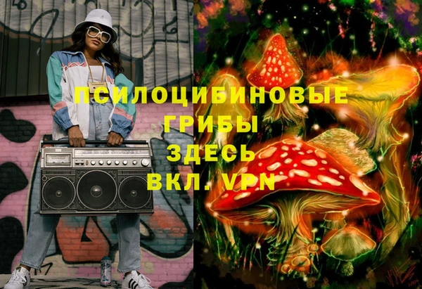 стаф Бугульма