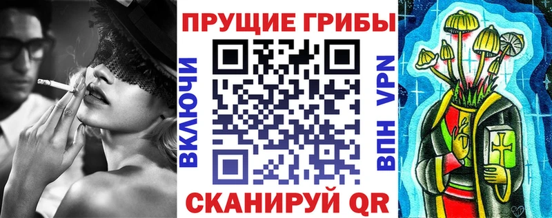 Купить закладки  Волоколамск  Галлюциногенные грибы GOLDEN TEACHER 